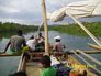 large mangroves